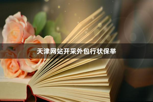 天津网站开采外包行状保举