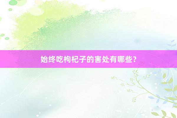 始终吃枸杞子的害处有哪些？