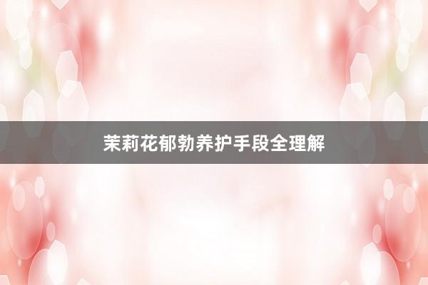 茉莉花郁勃养护手段全理解