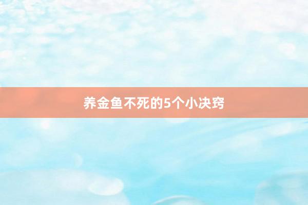 养金鱼不死的5个小决窍