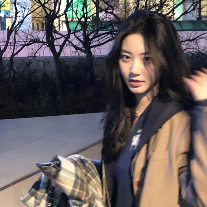 鹡鸰女神第二季