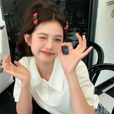 探索青年飞鸟记